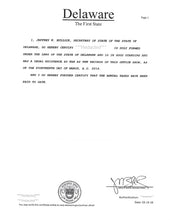 Laden Sie das Bild in den Galerie-Viewer, Delaware: Handelsregisterauszug (Certificate of Status)