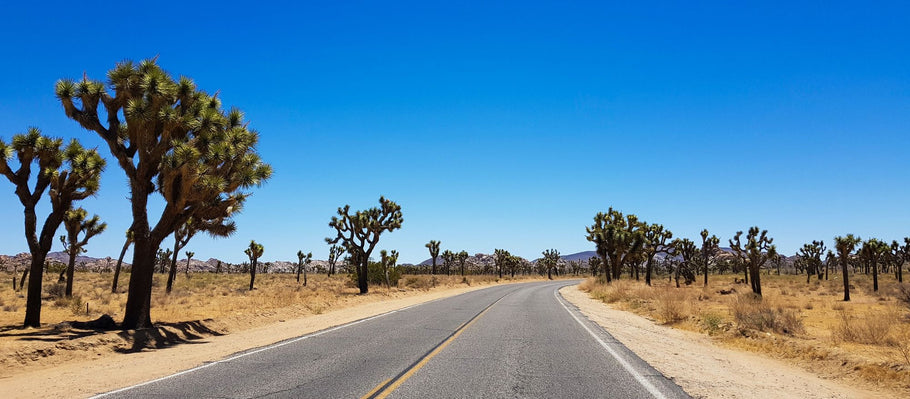 US T-online Tochter im Ausverkauf?