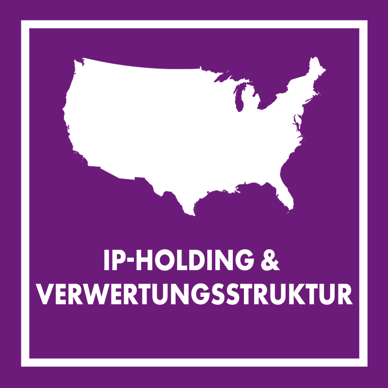 IP-Holding & Verwertungsstruktur