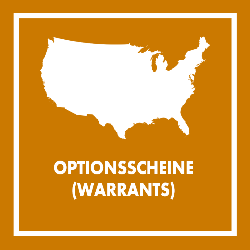 Ausgabe von Optionsscheinen (Warrants) durch Ihre US-Corporation
